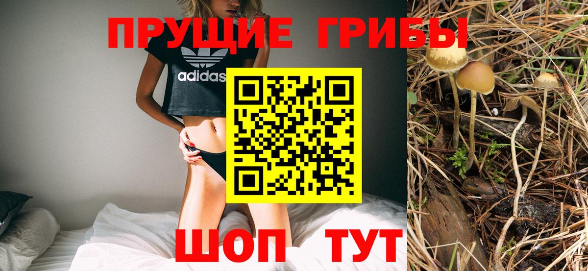 Псилоцибиновые грибы GOLDEN TEACHER Кузнецк