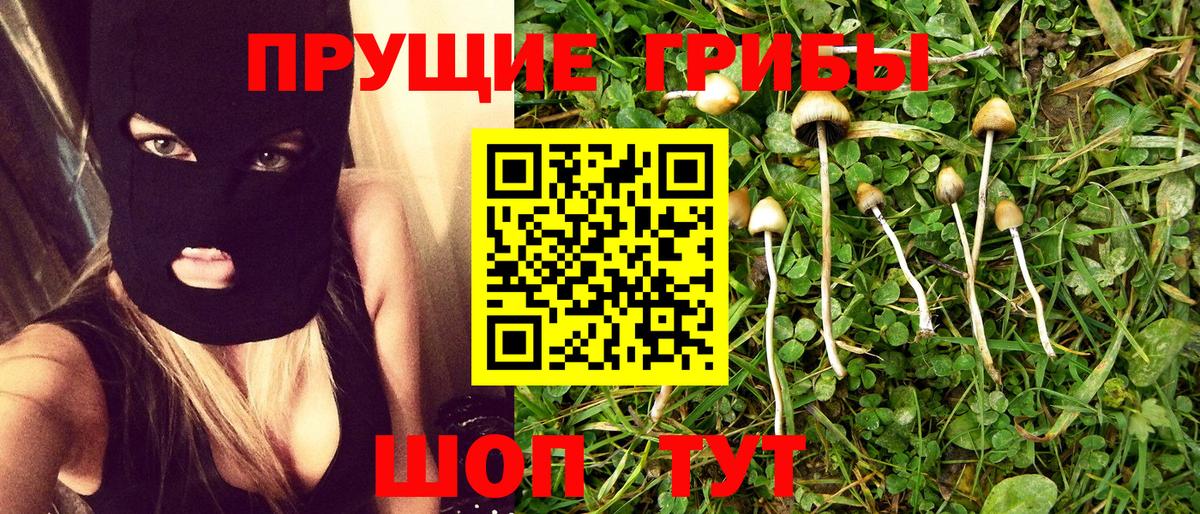 Кузнецк  Галлюциногенные грибы Magic Shrooms  Псилоцибиновые грибы Cubensis  Вход с VPN 